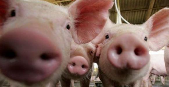 1561625405523671.jpg u=3240169542,1316910154&fm=26&gp=0.jpg