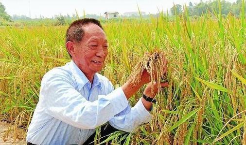 1562047728694994.jpg u=2005654713,2369800192&fm=11&gp=0.jpg